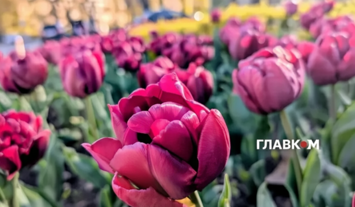 Существенные изменения погоды ожидаются в Украине с 1 июня