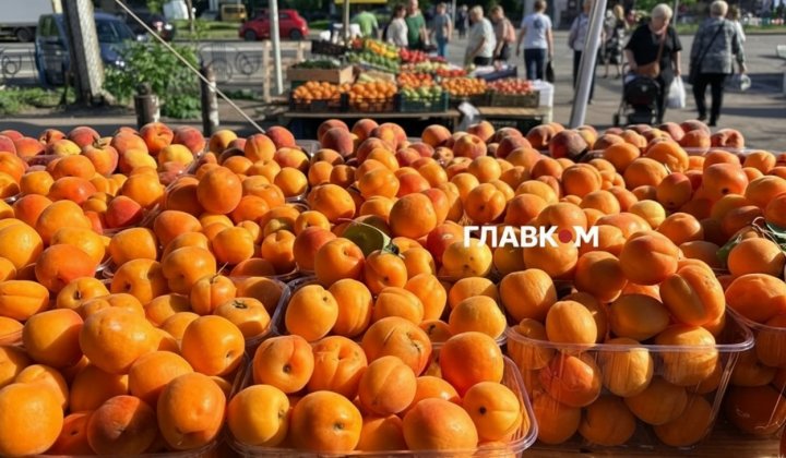 Выставка на фото ярмарки в Киеве