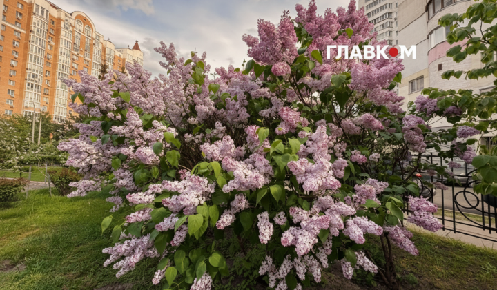 Рекорды температуры в Киеве в мае