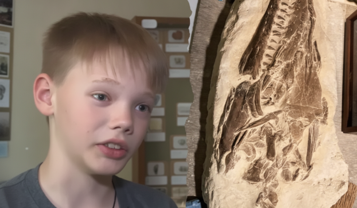 Fossil of sea predator 80 million years old