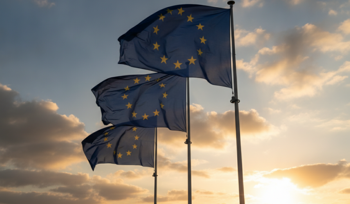 EU countries control for future members