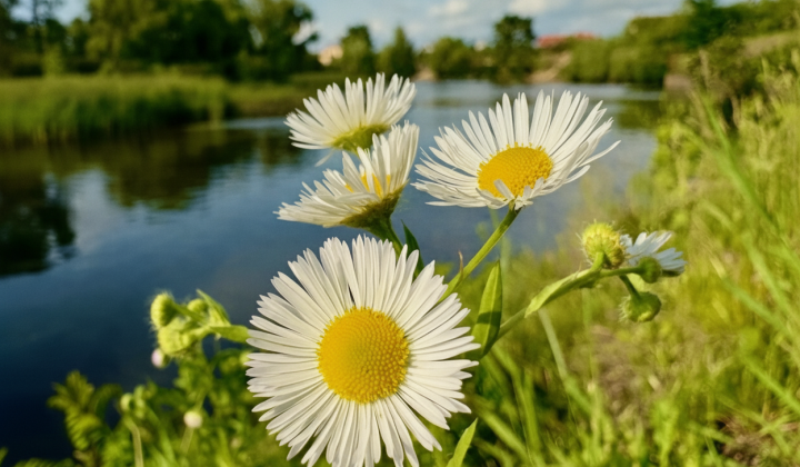 Heat up to +38 degrees will cover the Right Bank of Ukraine on June 29
