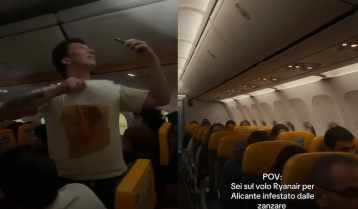 mosquitos in the airplane, cancelation of Ryanair flight