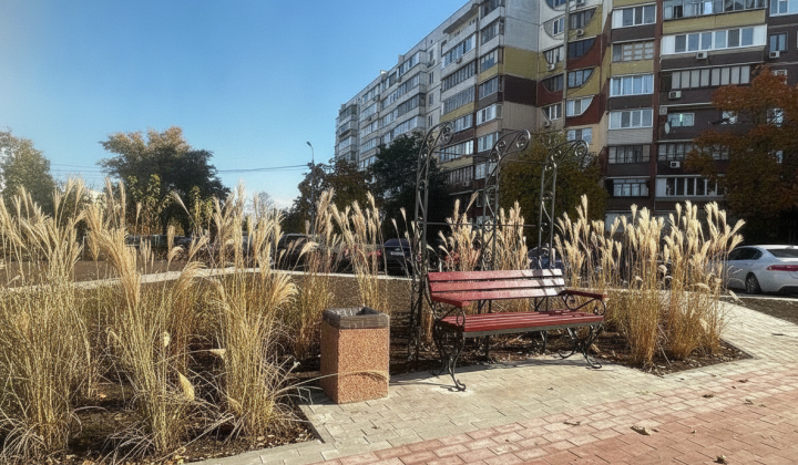 Decorative grasses in the streets of Kyiv