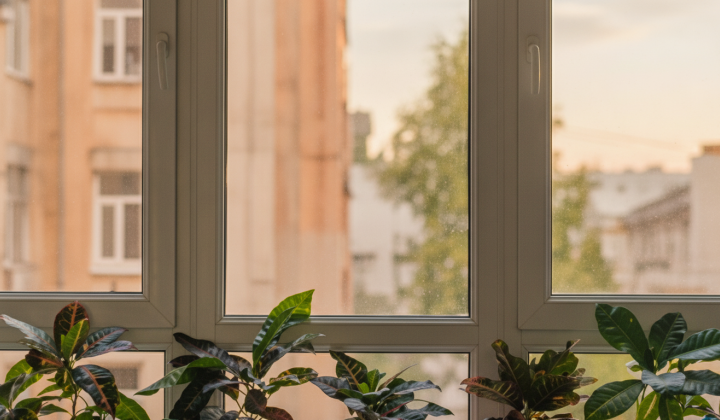 Protective film on windows of Poltava school