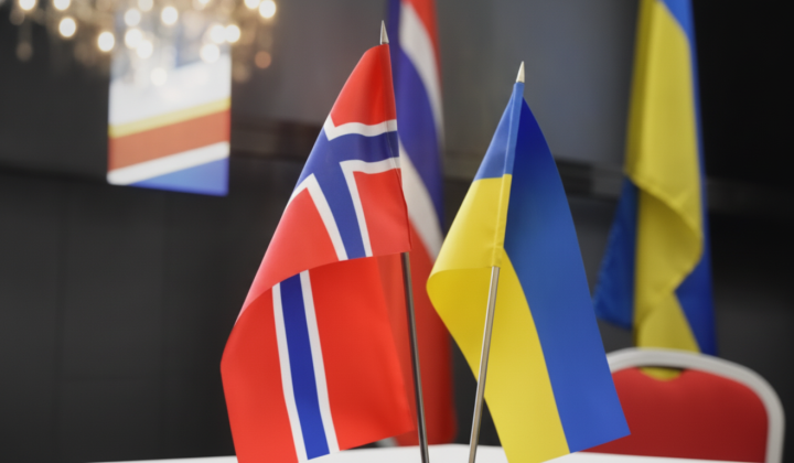 Українське ППО для боротьби з дронами
