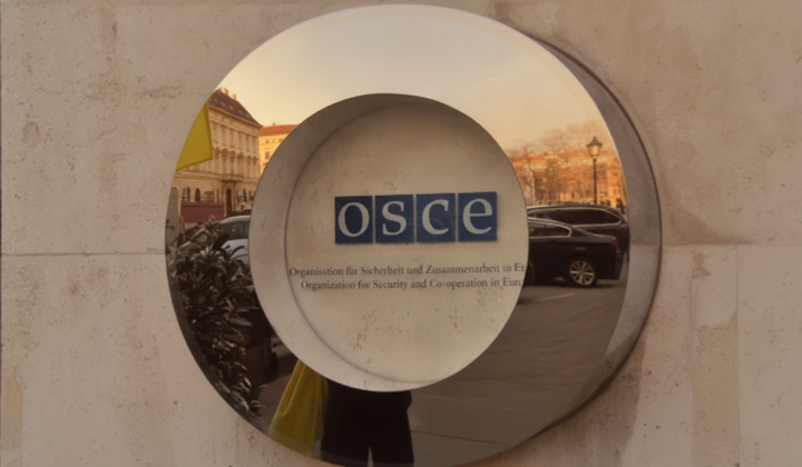 Українська делегація в ОБСЄ на засіданні