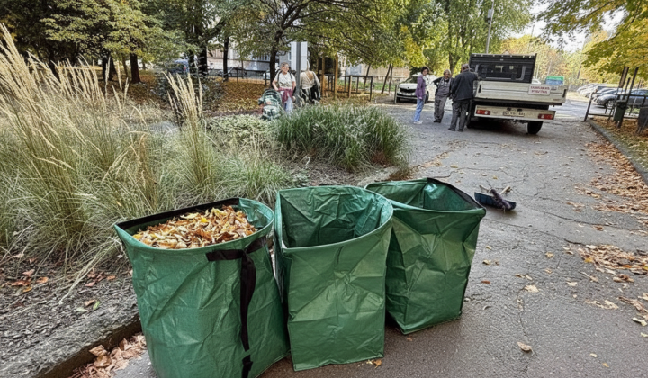 Reusable bags for collecting leaves