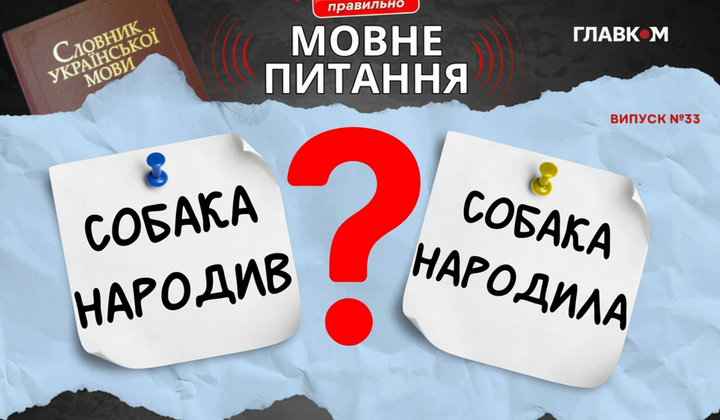 Мовознавиця пояснює значення слова «собака»