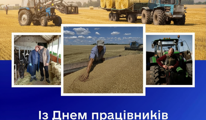 Сільське господарство в Україні