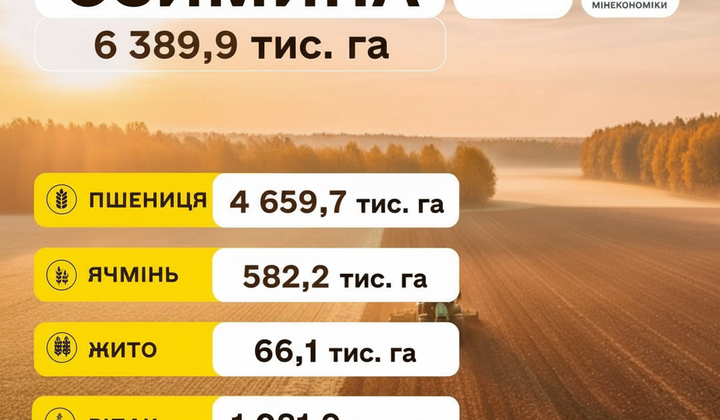 Украинские фермеры завершили посадку озимы