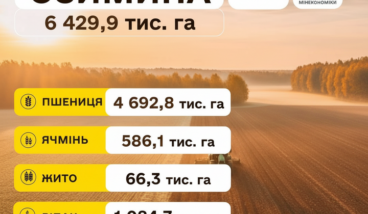 Ukrainian farmers in the field