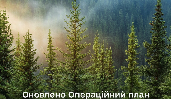 План управления лесами до 2035 года