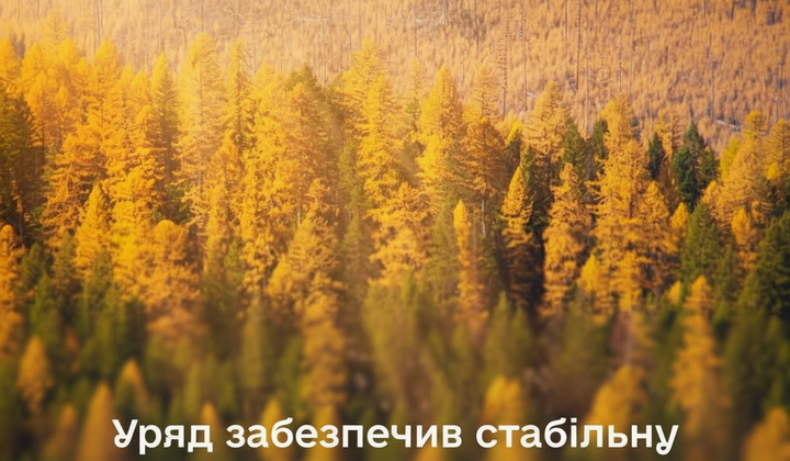 Лесоустройство в условиях войны