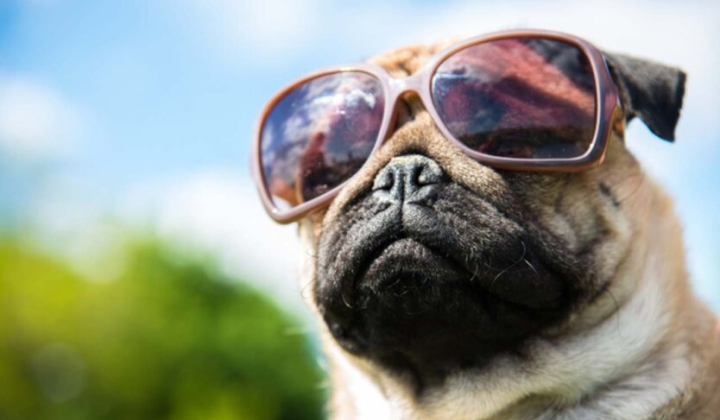 Графічне зображення з температурними гойдалками