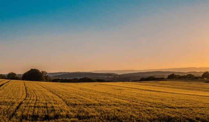 Ціни на земельні аукціони у 3,3 рази зросли