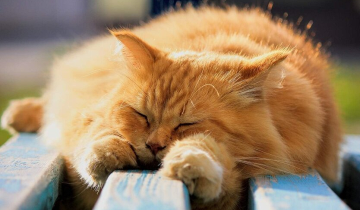 Синоптик Диденко предупреждает о непредсказуемой погоде