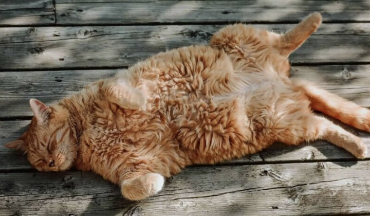 Синоптик Діденко попереджає про антициклон Віянельде