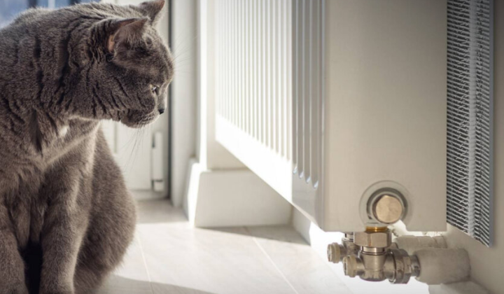 Труби вибухнули зимою та чиновників