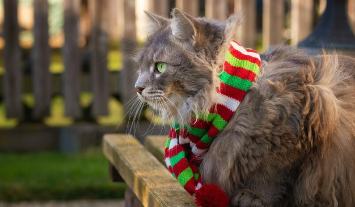 Предсказание погоды на начало ноября