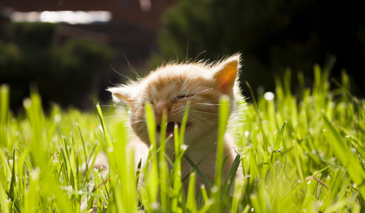 Осіння погода з дощами та грозами