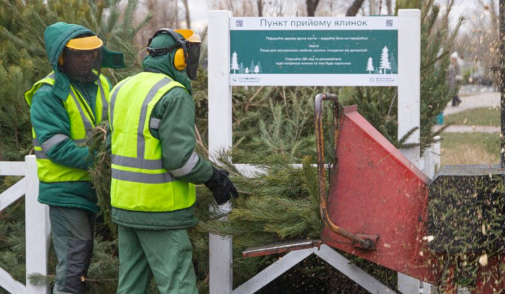 Пункти прийому ялинок у Києві