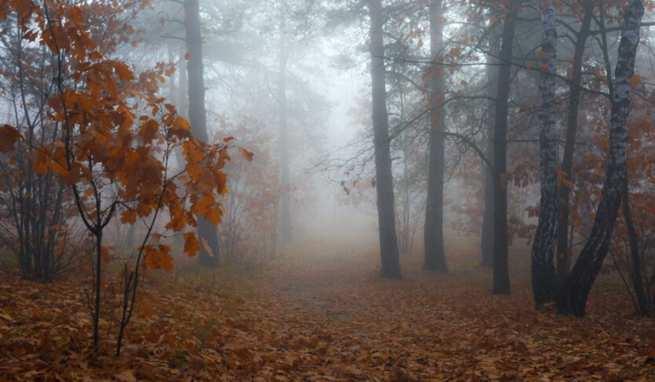 Попередження Діденко до українців