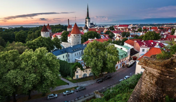 Естонські ІТ-підприємства в процесі розвитку