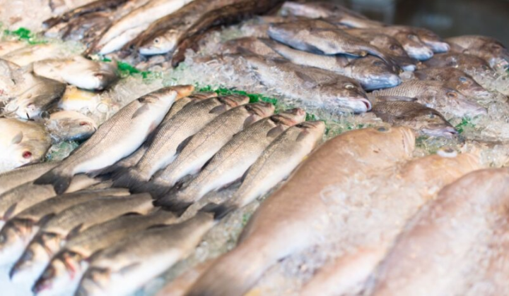 Отруйна риба в українських магазинах