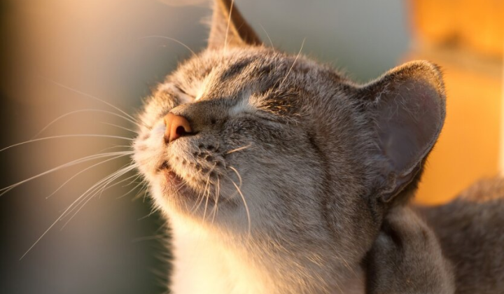 Предупреждение о желтом уровне неблагоприятной погоды