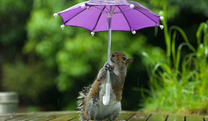 Прогноз погоди: крижані зливи