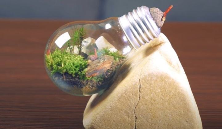 Платіжки на газ та світло