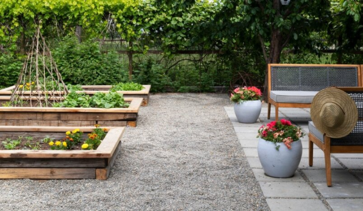 Расстояние до забора при посадке растений