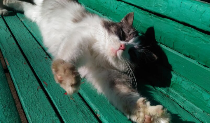 Бабье лето в Украине