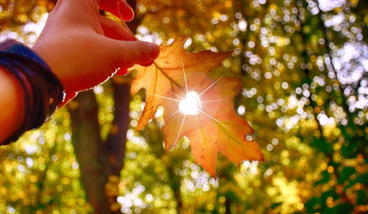 Погода неожиданно ухудшается: новые вызовы