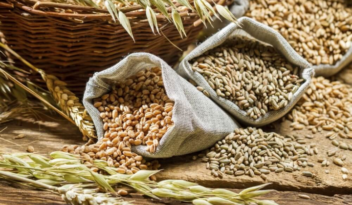 Экспорт зерновых культур растет в Украине