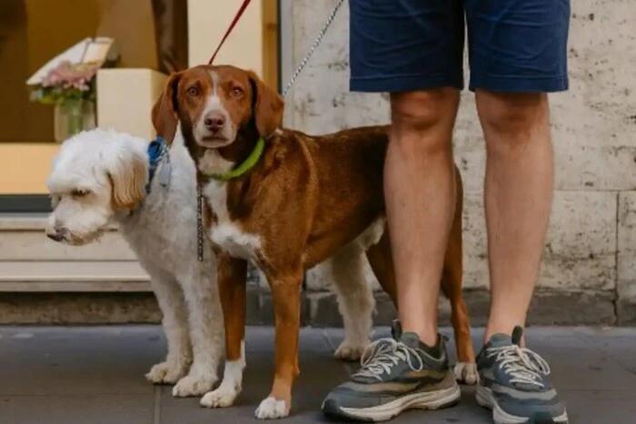 Налог для туристов в Италии