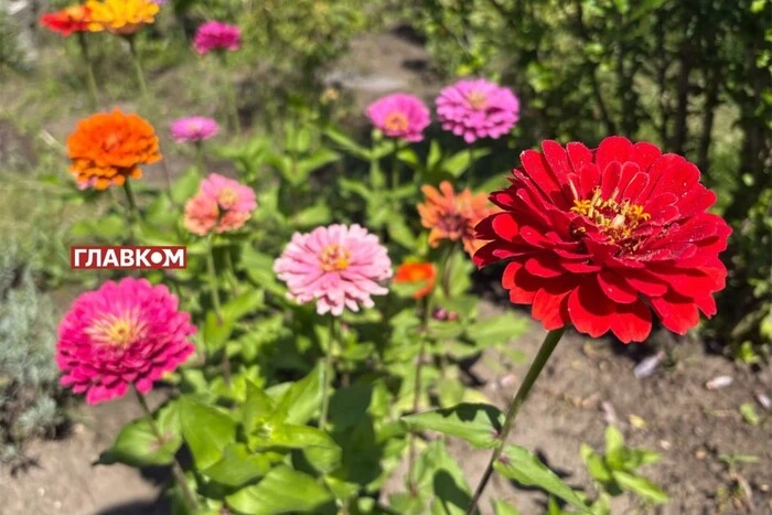 Погода без опадів в Україні