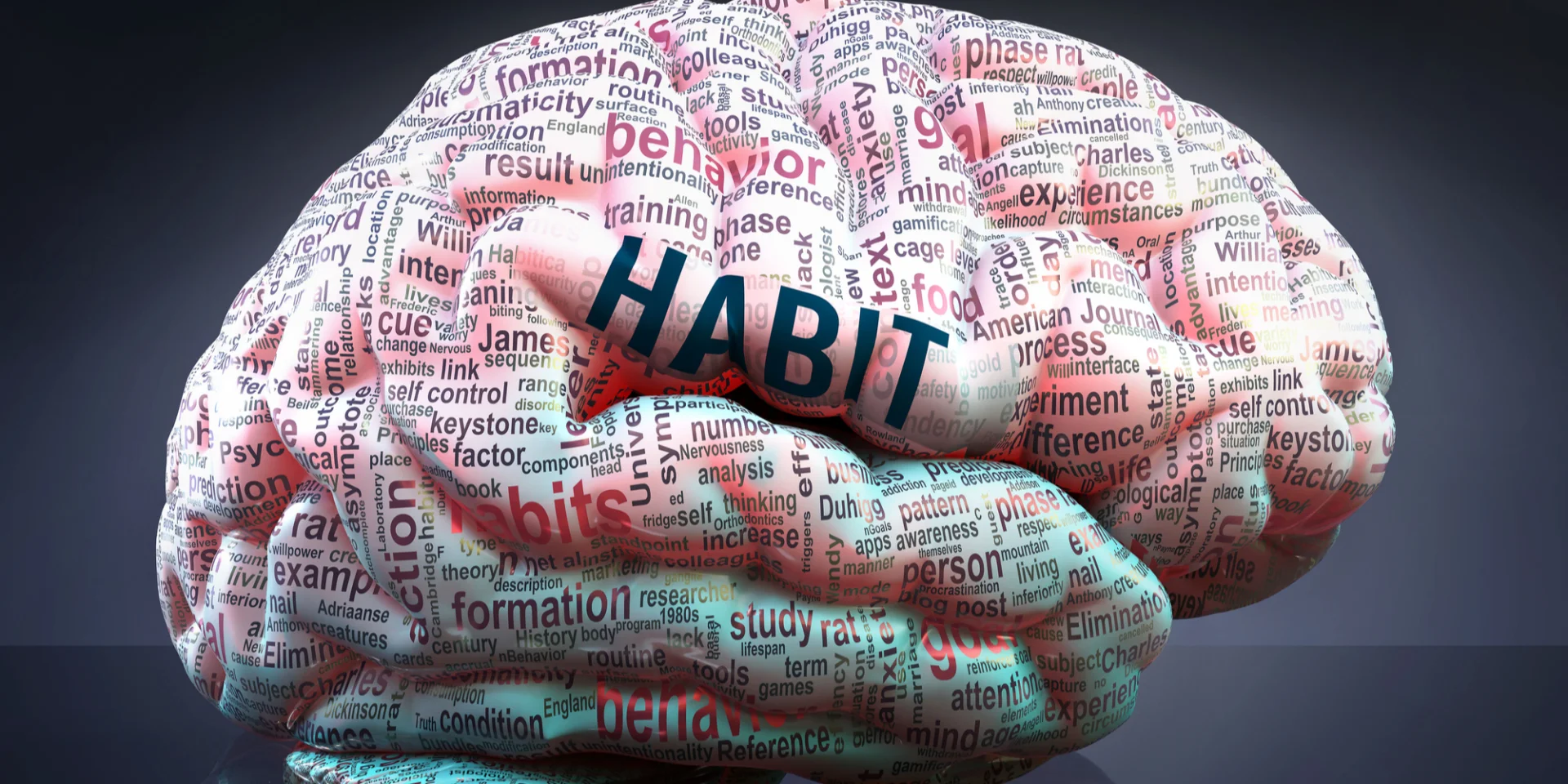 Acetylcholine in the brain drives mice to change habits — new study