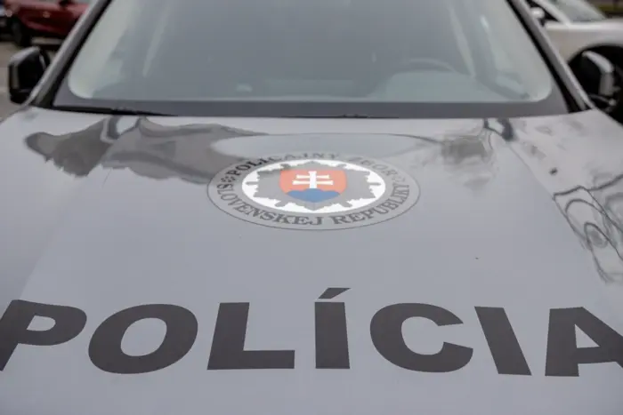 Словаччина депортує українця за державний переворот