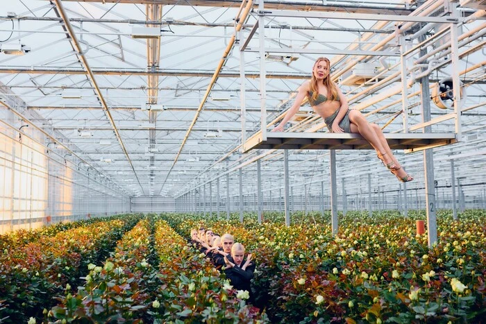 Тіна Кароль у теплиці