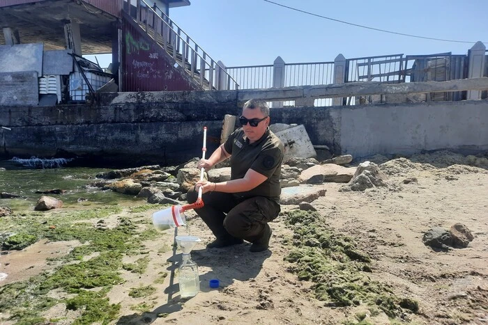 Экологи исследуют 'цветение' Черного моря
