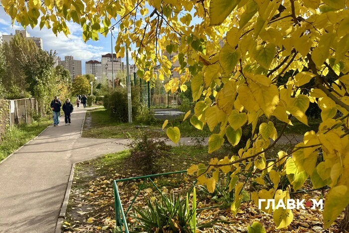 Облачно с прояснениями: погода на 6 ноября 2025