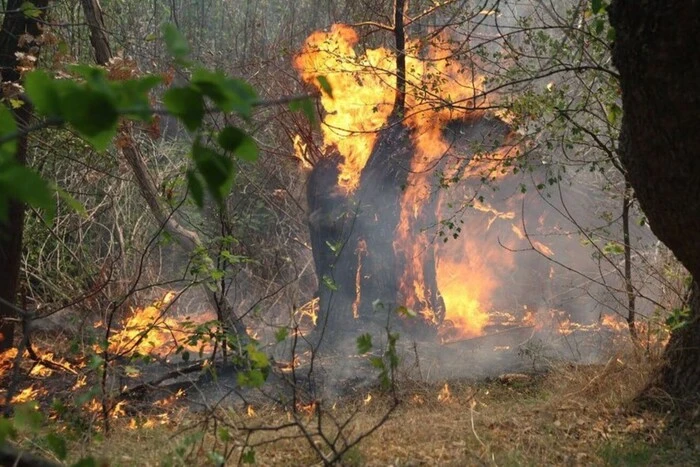 Диверсия в Запорожье: ликвидация российских офицеров