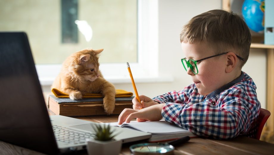 Инструкции для учеников и родителей