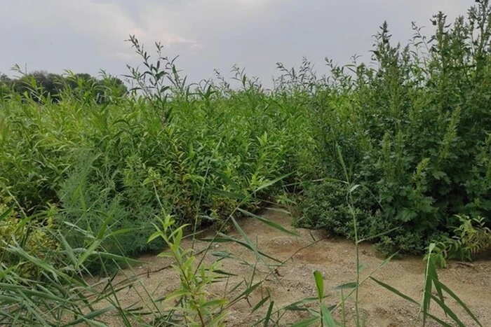 Дно Каховського водосховища - поле бою