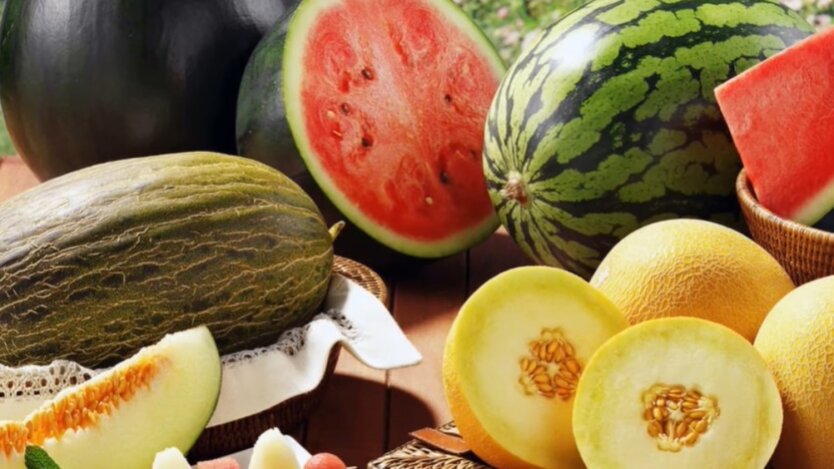 Арбузы, дыни и помидоры на рынке