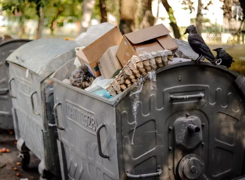 Сміттєві приписки: схеми виведення грошей