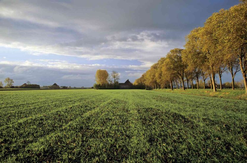 Рост налога на землю в регионах