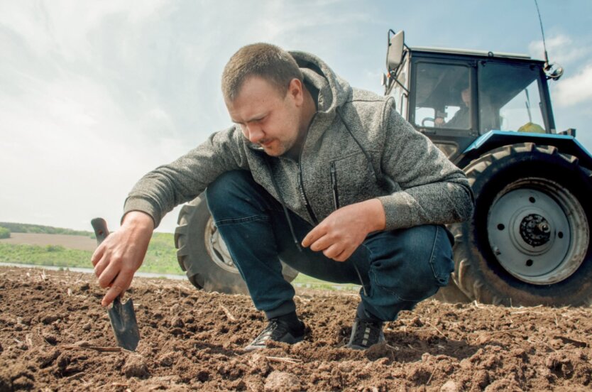Цена на землю в Украине стремительно возросла